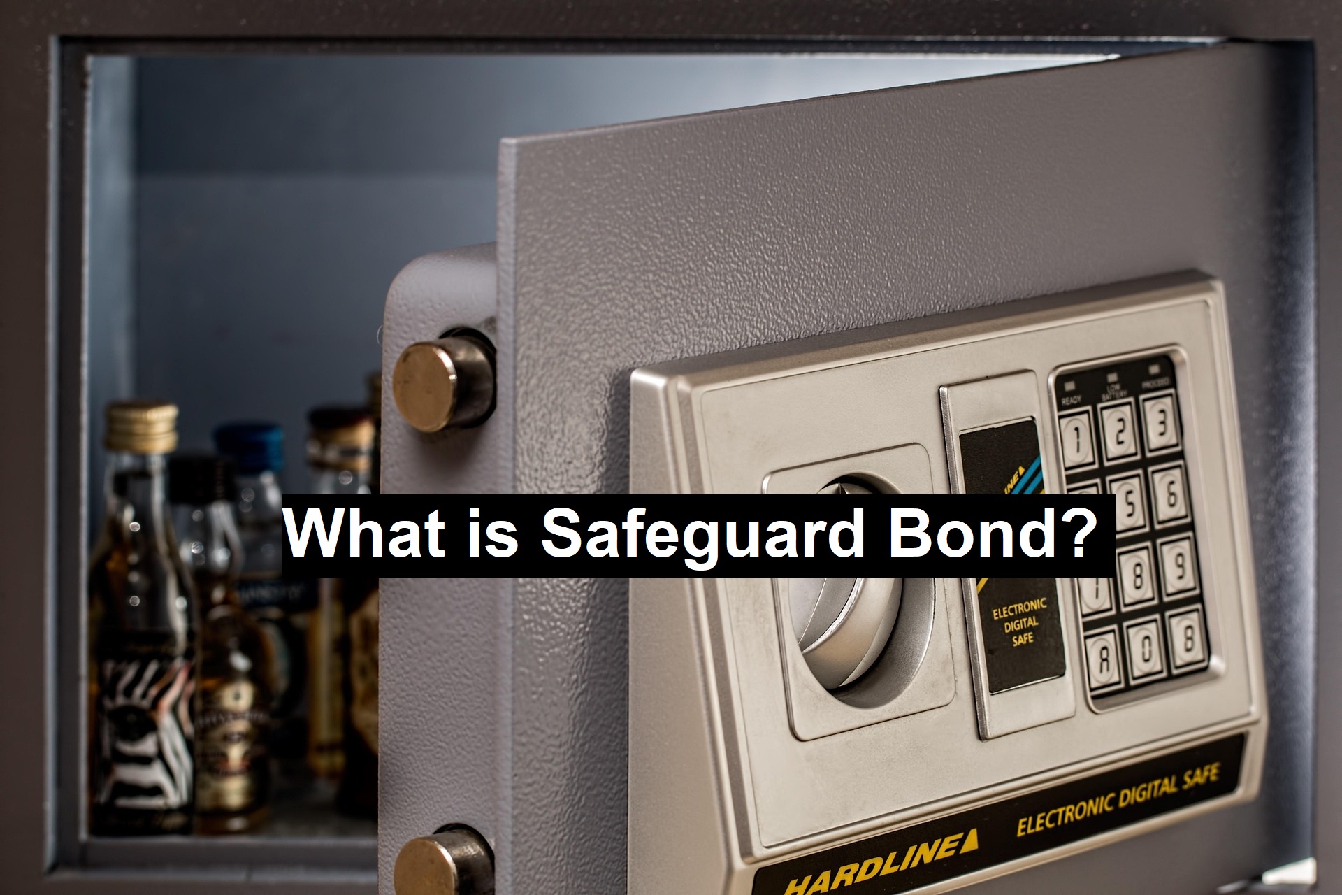 Safeguard Bond